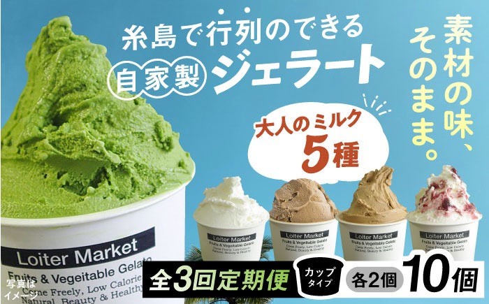 ジェラート アイス 【全3回定期便】糸島で行列のできる アイスクリーム 屋 ジェラート カップ 10個 セット！ 大人の味 5種類 × 各2個 ( ミルク , 抹茶 , ほうじ茶 , カフェオレ , ブルーベリーヨーグルト ) 糸島市 / LoiterMarket ロイターマーケット アイスクリーム [AGD020]