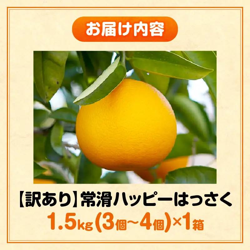 【先行予約】【訳あり】常滑ハッピーはっさく 1.5kg （3～4個）｜ はっさく フルーツ 常滑市