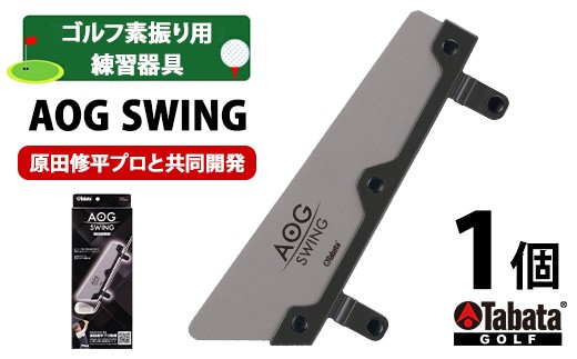 
                  タバタ Tabata AOG SWING（アオグスイング） GV0379 ゴルフ ゴルフ用品 練習 ゴルフ練習 茨城県 練習器具 素振り用 素振り スイング トレーニング スポーツ レジャー 【テンポイント（株）】【ho1659】
                
