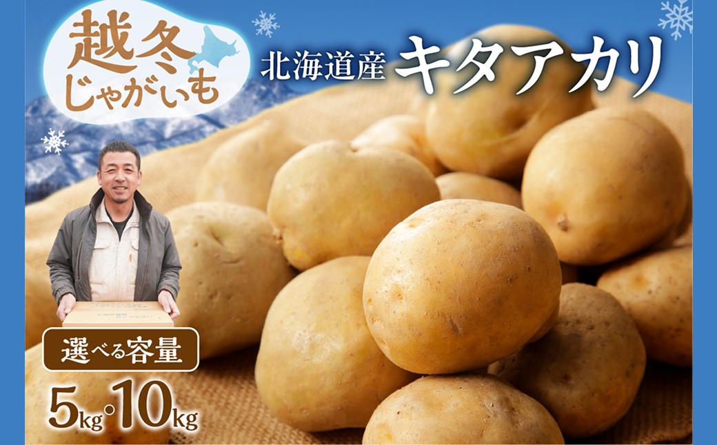 
            先行受付！【選べる内容量！】ホクホク あま～い！ 低温貯蔵！北海道産 越冬じゃがいも キタアカリ 約5kg じゃがいも いも 芋 キタアカリ 産地直送 越冬_S041
          