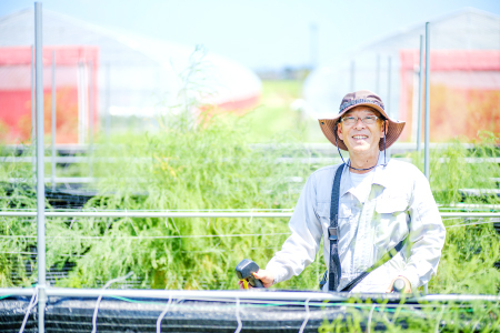 オーガニック菌床しいたけ200g×6袋【椎茸 オーガニック 菌床 野菜 きのこ キノコ】