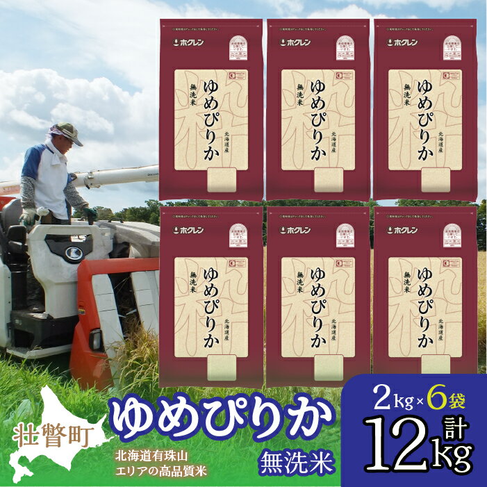 【ふるさと納税】【令和7年産】（無洗米12kg）ホクレンゆめぴりか（無洗米2kg×6袋） 【 ふるさと納税 人気 おすすめ ランキング 北海道産 壮瞥 無洗米 米 白米 ゆめぴりか こめ 贈り物 贈物 贈答 詰合せ セット 北海道 壮瞥町 送料無料 】 SBTD056
