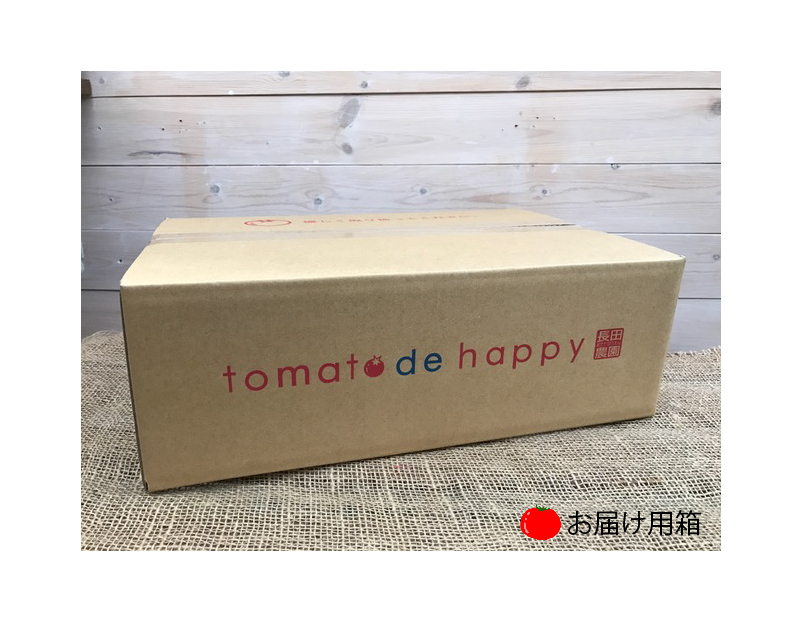 【2026年度予約分】甘さ抜群!トマト嫌いでも食べられるトマトベリー 約1.6kg 野菜ソムリエサミット 金賞 受賞 長田農園 産地直送 トマト とまと 野菜 やさい フルーツ サラダ 濃厚 甘い ご