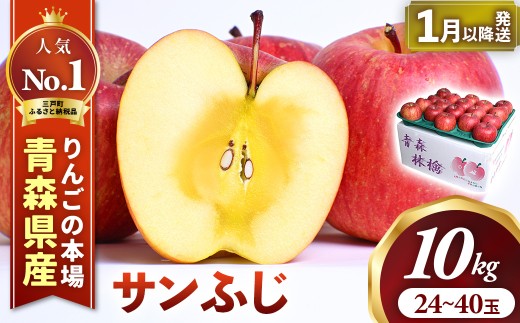 りんご【サンふじ】 約10kg（24～40玉）【2026年産・先行予約】★2027年1月下旬～2月頃発送予定★ 青森県三戸町産 りんご 林檎 フルーツ 果物 果実 青森 三戸 高級 贈答 ギフト プレゼント 産地直送 農家直送 青森県三戸町 AK-25-075