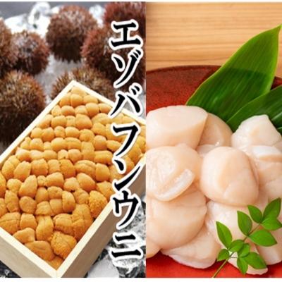ふるさと納税 根室市 エゾバフンウニバラ詰め150g×1折、ホタテ貝柱500g×1P[11月下旬以降発送] E-40023
