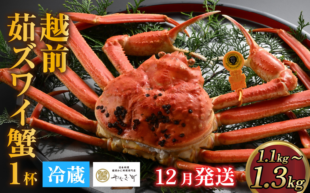 
            【先行予約】[捌き済選択可][到着日指定可]蟹好きにおすすめ！老舗カニ専門店の「越前ずわいがに」(1.1kg～1.3Kg)　 12月発送分(12/20到着迄)  [O-085019]
          