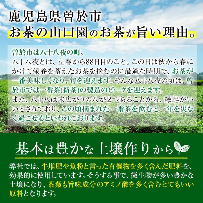 ＜お茶生産量日本一の鹿児島県産！＞小さいお茶屋の深蒸し茶～麗椿～(茶葉100g×3本・合計300g) 【お茶の山口園】A186-v01
