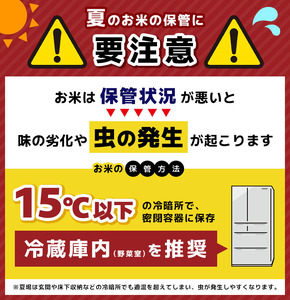 【栃木県共通返礼品・栃木県産】ミルキークイーン10kg（5kg×2袋） | 白米 精米 お米 ブランド米 栃木県 特産品