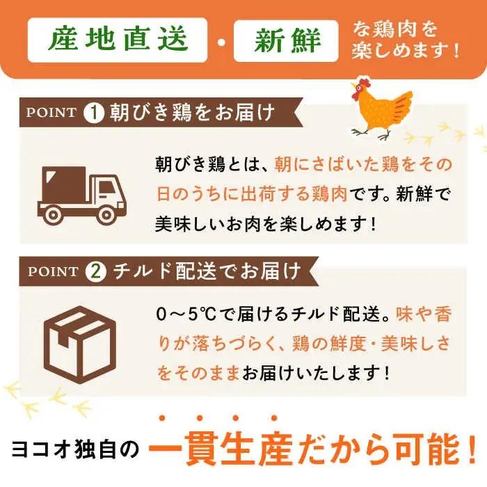 ＜新鮮！産地直送＞みつせ鶏の朝びき鶏 ささみ 1kg 吉野ヶ里町/ヨコオフーズ 鶏肉 鶏 国産 チルド ヘルシー [FAE179]