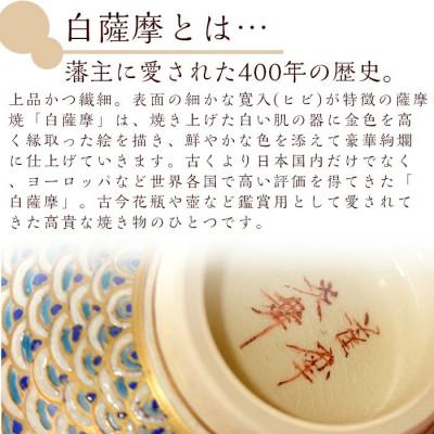 ふるさと納税 日置市 白薩摩 抹茶茶碗 (桐箱付) 焼物 陶器 伝統工芸品 薩摩焼【炎舞陶苑】No.126 |  | 01