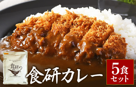 食研カレー２００ｇ×５袋 【VB02360SET5】