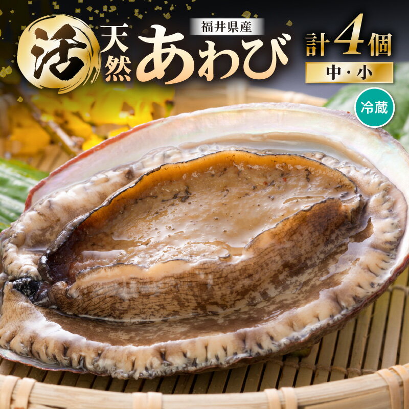 【ふるさと納税】【期間限定】天然！活アワビ 中小オガイ・メガイ セット 計4個 入手困難 鮮度抜群 刺身 お造り バター焼き あわび 鮑 [m21-g005]