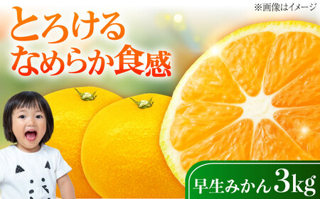 早生みかん 3kg わせみかん [XCX003]