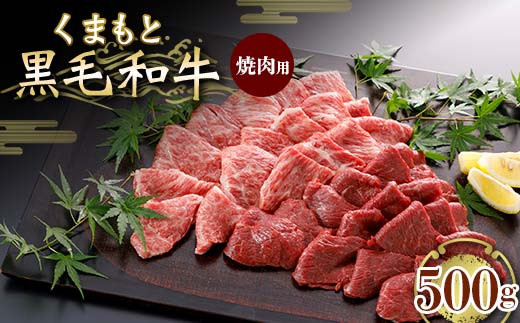 
FKK19-832 くまもと黒毛和牛 焼肉用 500g
