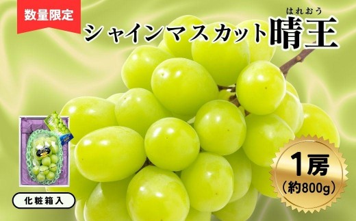 
                  シャインマスカット晴王1房（約800ｇ）化粧箱入
                