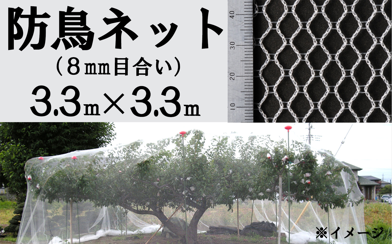 
                  防鳥ネット（８㎜目合い）3.3m×3.3m
                