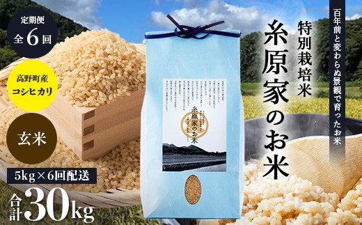 
                  （玄米）【定期便 全6回】特別栽培米「糸原家のお米」高野町産 コシヒカリ 5キロ | 5kg×6回 合計30kg 6ヶ月 6ヵ月 6か月
                