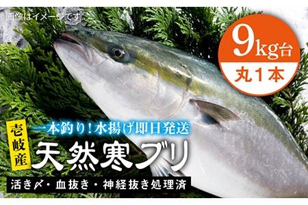 壱岐島産天然寒ブリ（9キロ台・丸もの） 《壱岐市》【壱岐島　玄海屋】[JBS027] ぶり 寒ぶり ブリ 魚 刺身 しゃぶしゃぶ 107000 107000円 のし プレゼント ギフト 冷蔵配送 九州