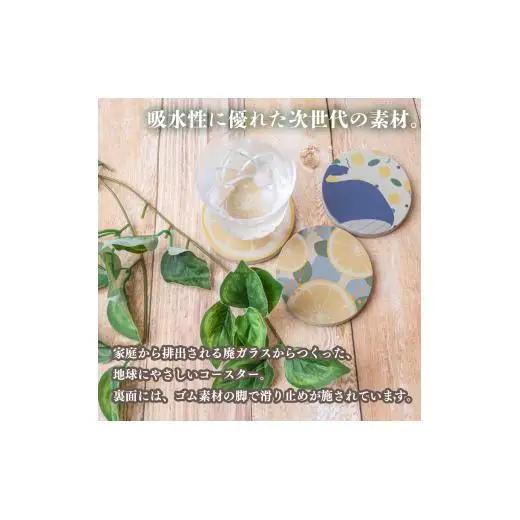 文旦デザインコースター（3枚）セット【スーパーソル製品】 コースター TTN001-1