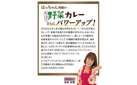グルテンフリー たっぷり野菜カレー 辛口 5食セット ＜株式会社 愛しとーと＞ 那珂川市[GBA033]