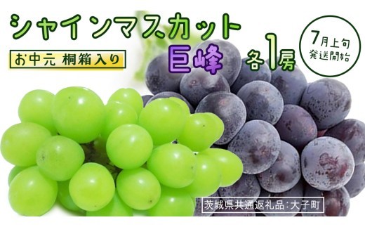 
                  【 お中元 桐箱入り 】 シャインマスカット & 巨峰 (各１房) 【2026年7月上旬発送開始】(茨城県共通返礼品：大子町) ぶどう 葡萄 マスカット フルーツ 果物 贈答用 ギフト 贈り物
                