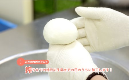 【訳あり】熟成カマンベール2種セット