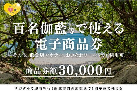 【ANAの旅先納税】電子商品券 なんじょうe街ギフト（30,000円分）