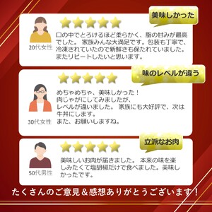 とちぎ和牛ロースステーキ(300g✕2枚)｜銘柄牛 霜降り 和牛 切り落とし とろける 品質 栃木県 那珂川町