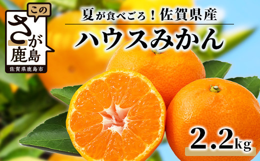 
                  C-28 高級 JA ハウスみかん（2.2kg）みかん 蜜柑 ミカン 果物 フルーツ くだもの 箱 佐賀県 鹿島市 甘い 絶品 安全安心 美味しい ジューシー 果汁 みずみずしい フレッシュ 新鮮 人気 大好評 おすすめ ふるさと 送料無料【2026年7月上旬頃まで発送予定】
                