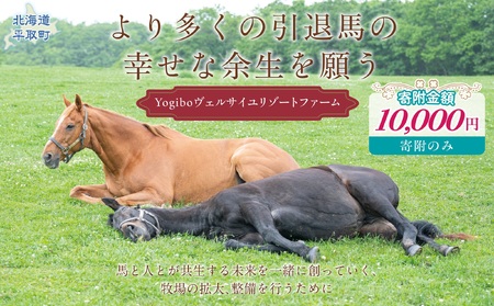【1万円コース 返礼品無し】より多くの引退馬の幸せな余生を願う　Yogiboヴェルサイユリゾートファーム BRTV024-03