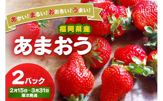 【先行予約受付中】【2027年2月15日～3月31日順次発送】福岡県産いちご「あまおう」270g×2パック【hurrah.】_HA1972