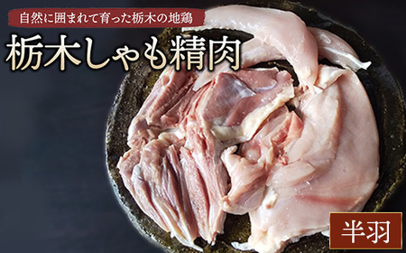 栃木しゃも精肉　半羽　※離島への配送不可