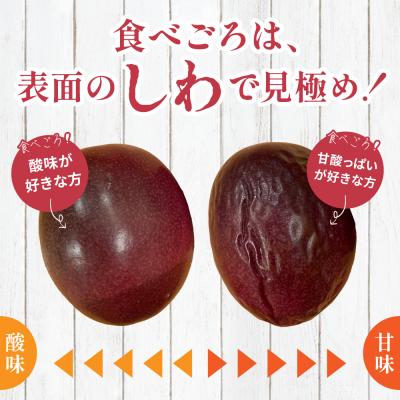 ふるさと納税 南さつま市 鹿児島県産 パッションフルーツ 約2kg(10〜12個程度×2箱) 先行受付 ◆6〜8月順次お届け◆ |  | 02