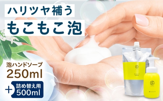 ハンドソープ うちこコスメ泡ハンドソープ 250ml＆詰め替え用500mlセット ／ スキンケア 洗浄 化粧品 コスメ 美容 日用品 手洗い ハンドソープ 愛媛県 内子町ハンドソープ 泡 アミノ酸 低刺激 詰め替え 消耗品 愛媛 内子町 国産 ふるさと納税 お取り寄せ ギフト 四国 内子 返礼品 お礼 特産品 贈り物 【昭和刷子株式会社】 [BKAZ002]