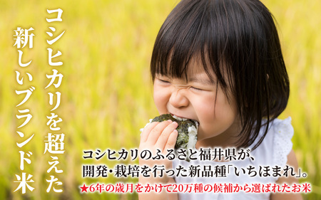 【3ヶ月定期便】【令和6年産 新米】福井県産 いちほまれ（白米）10kg×3回　計30kg[G-097003]