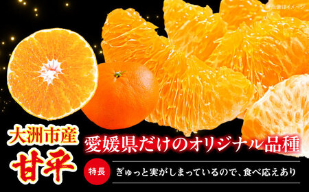  甘平 2.5kg 【2月下旬より順次発送】（Lから4Lサイズ）甘平 かんぺい[AGAR010]