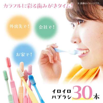 ふるさと納税 大洲市 カラフルな色で生活を華やかに♪ イロイロハブラシ 30本セット [AGAX001]