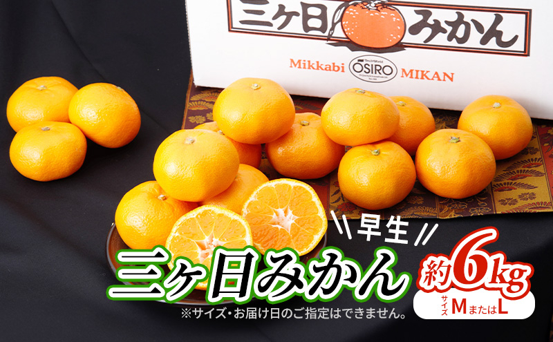 
            【2026年11月中旬より順次発送】 三ヶ日みかん 早生 6kg M～L 早生みかん みかん 蜜柑 ミカン 果物 くだもの 旬のフルーツ 旬の果物 季節のフルーツ 季節の果物 柑橘 柑橘類 静岡 静岡県 浜松市[№5786-5773]
          