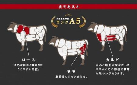 鹿児島県産黒毛和牛 霜降(ロース・カルビ)赤身(モモ)焼き肉用