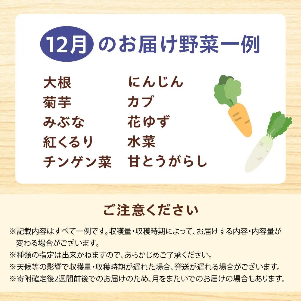 高槻野菜おまかせ詰め合わせセット 12月（10種〜15種）[AOCS018] 野菜セット