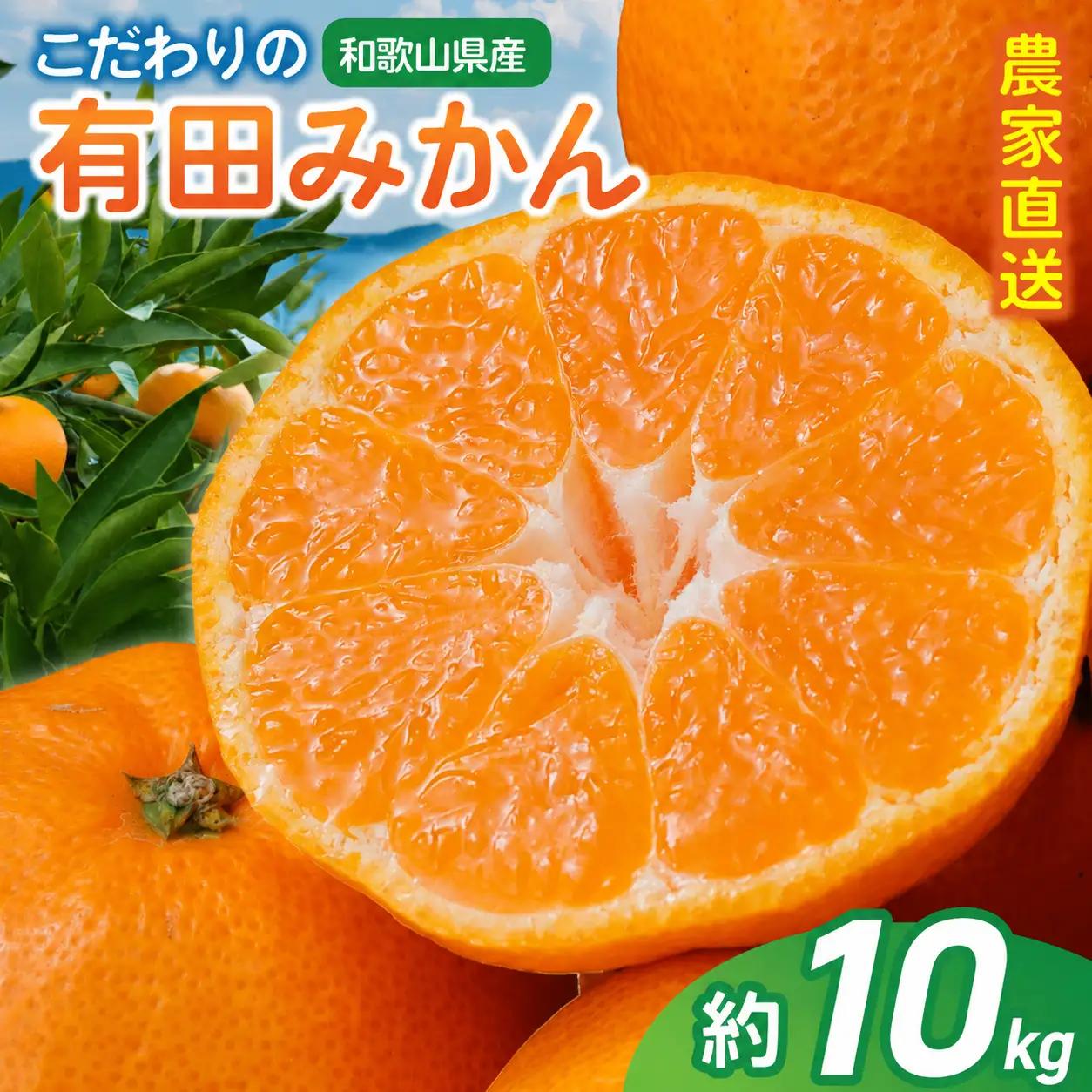 【訳あり・ご家庭用】 農家直送 こだわりの 完熟 有田みかん 約10kg＋150g(傷み補償分) 【2026年11月中に順次発送予定】有機質肥料100% 有田みかん みかん ミカン 蜜柑 柑橘 果物 フルーツ 甘い 温州みかん 先行予約【CE-nuk101D-11】