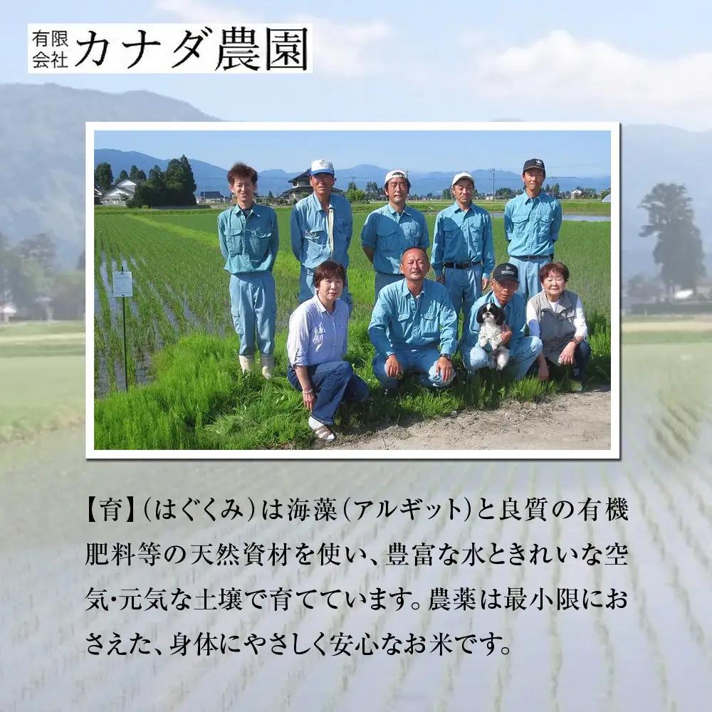 【令和7年産】富山県産こしひかり　育（はぐくみ）玄米３０kg《南砺の逸品》