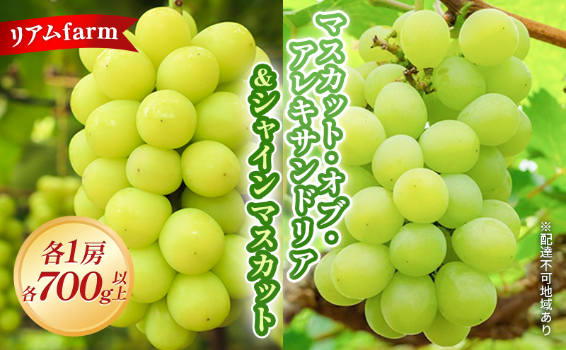 【2026年先行予約】 ぶどう 岡山県産 マスカット ・オブ・ アレキサンドリア ＆ シャインマスカット 各1房（各700g以上） 2026年7月下旬-8月上旬出荷 フルーツ 果物 数量限定 期間限定 里庄町 リアム farm