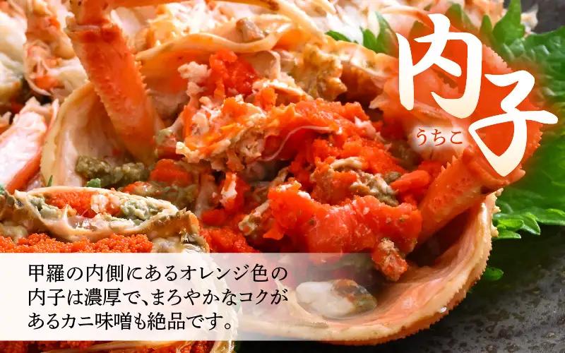 《冷凍》獲れたて!茹でたての 越前せいこがに 小 2杯 越前がに メス せいこがに　[m17-a081]