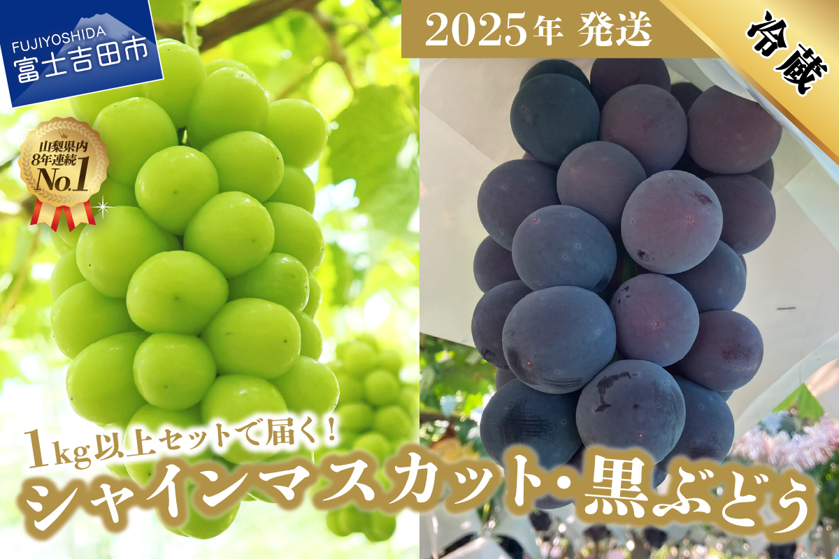 【2025年発送】ジューシーで甘さ抜群 シャインマスカットと黒ぶどうセット(1kg以上)