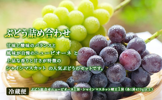 フルーツ 2025年 先行予約 晴れの国 岡山 の フルーツ 定期便 6回コース 桃 ぶどう 梨 岡山県産 国産 フルーツ 果物 ギフト 