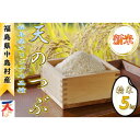 【ふるさと納税】【令和6年産新米/先行予約】中島村産『天のつぶ』(精米) 5kg【1542532】