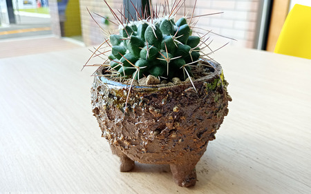 眞名焼 サボテン鉢 中サイズ2個 丸型 角型ペア　｜鳥取 岩美 鉢 丸型 角型【71013】