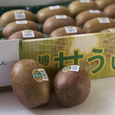 ふるさと納税 須恵町 【先行受付】福岡限定!ブランドキウイ「甘うぃ(あまうぃ)」約1.5kg箱(12-15玉)(須恵町) |  | 01