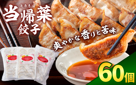 当帰葉餃子 60個入り｜冷凍餃子 餃子 ぎょうざ ギョウザ 冷凍 焼餃子 冷凍餃子 人気 | 奈良県 五條市